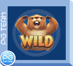 Groundhog Harvest รีวิวสล็อตPG