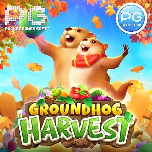 Groundhog Harvest