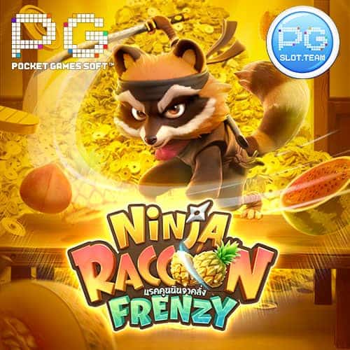 Ninja-Raccoon-Frenzy